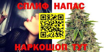 сатива Краснознаменск