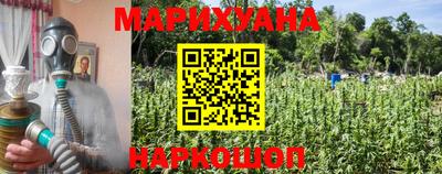 тгк Краснодар