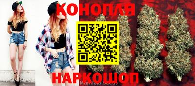 сатива Краснознаменск